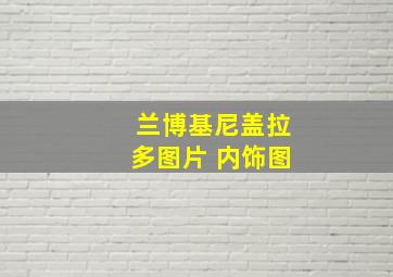 兰博基尼盖拉多图片 内饰图